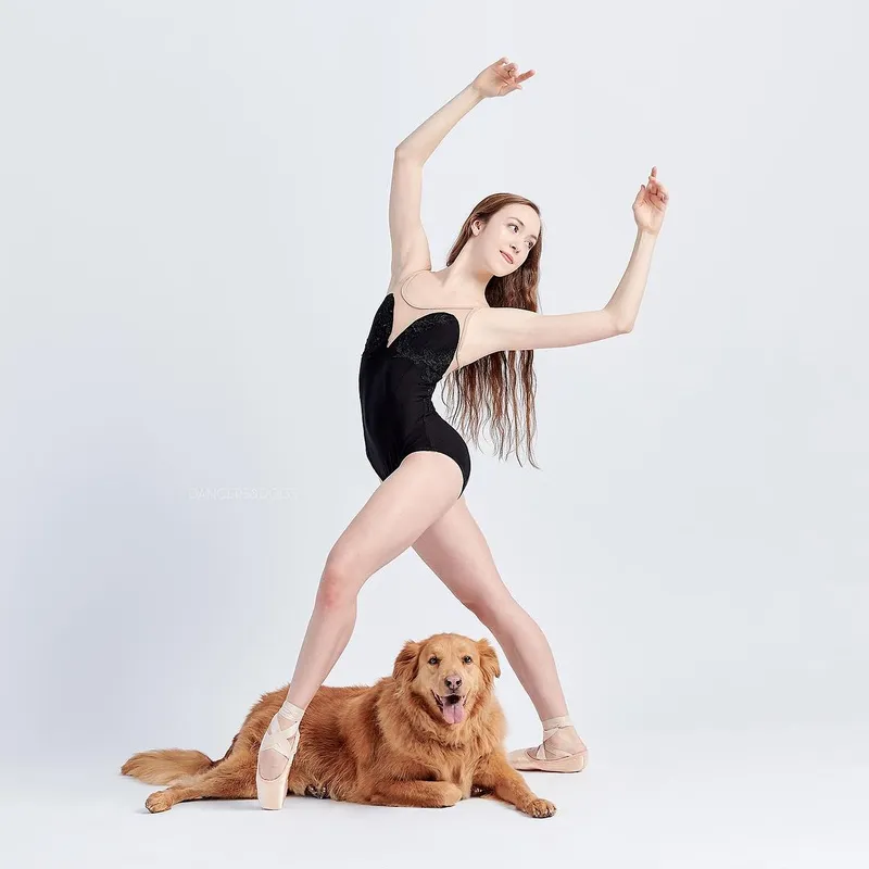 Adoptable pet photo project