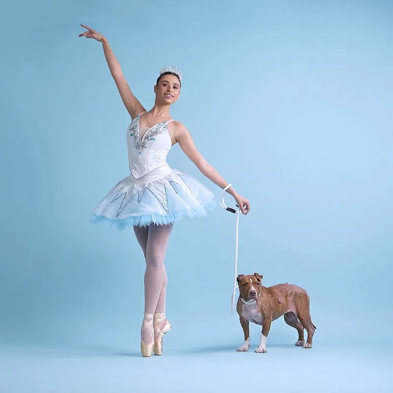 Adoptable pet portraits