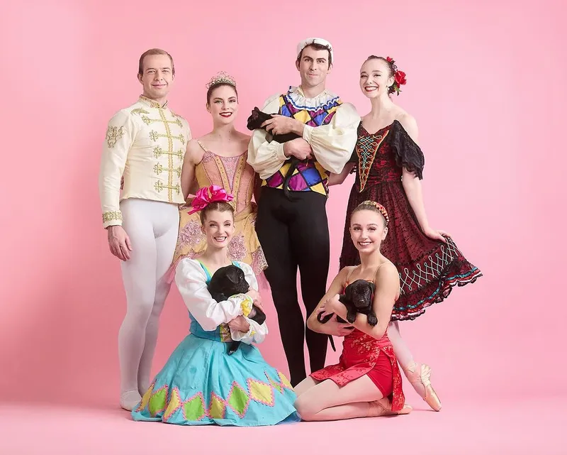 Animal shelter photography