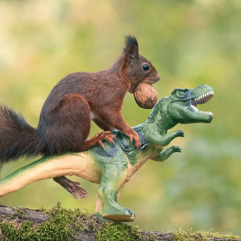 Delightful squirrel and dinosaur photos