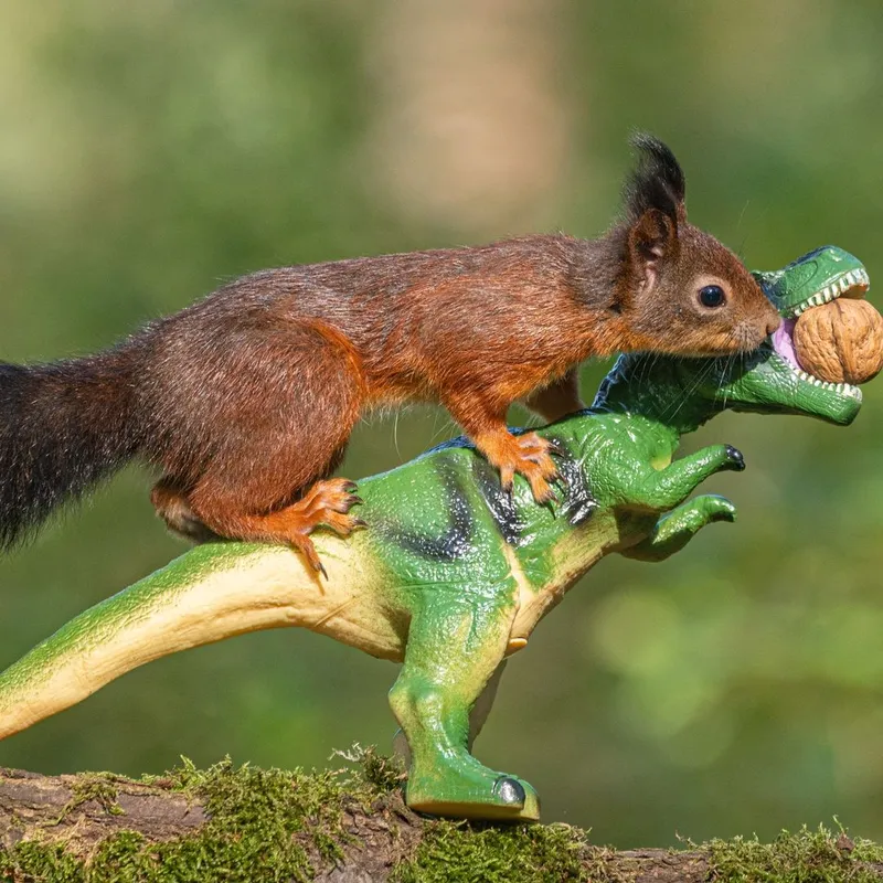 Endearing animal photography