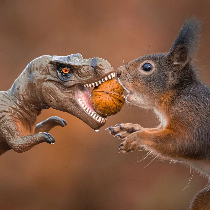 Joyful wildlife snapshots