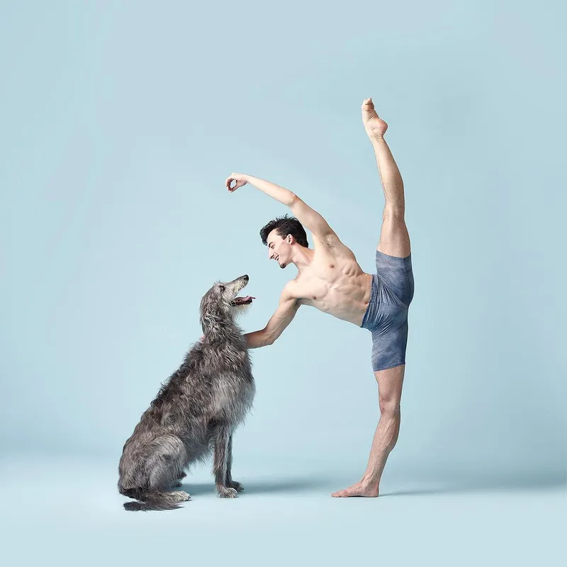 Pet adoption photography