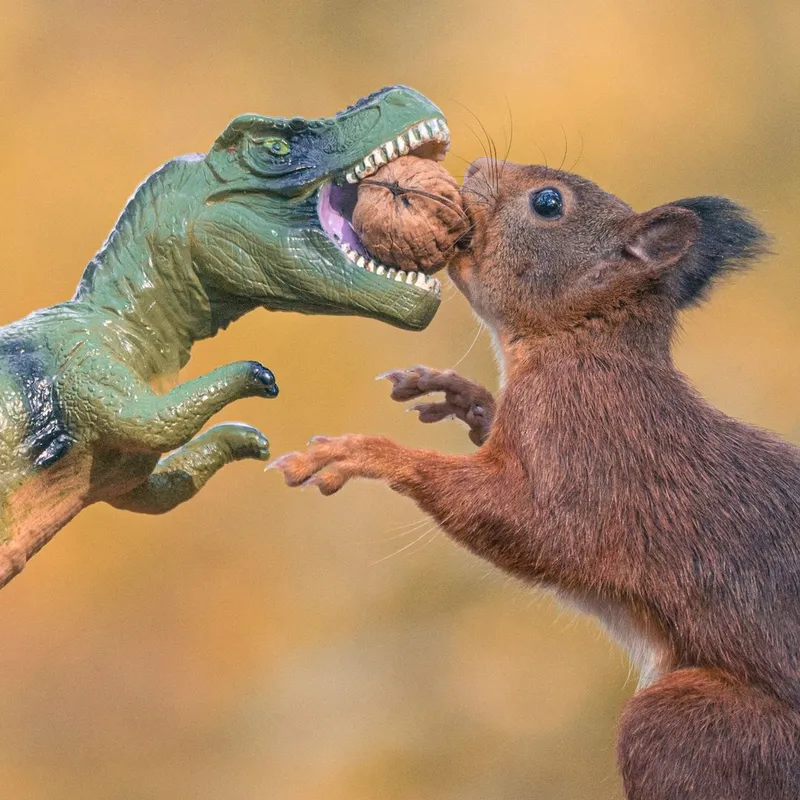 Photographer Niki Colemont Releases a Charming Photo Series with Joyful Pictures of Squirrels Playing with Toy Dinosaurs