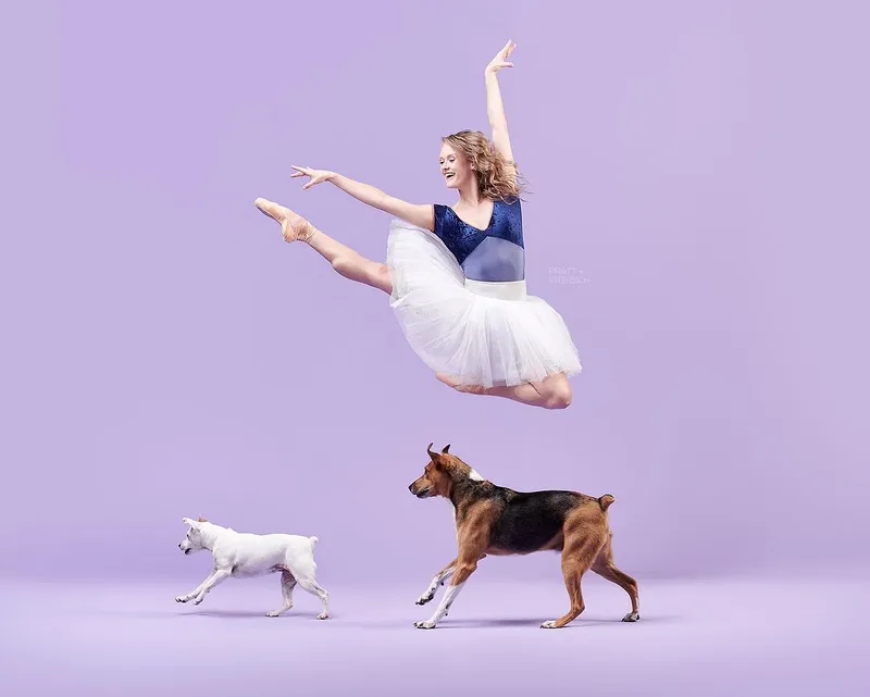 Rescue pet photo sessions