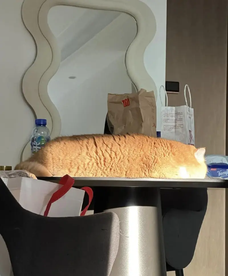 A Toasted Loaf of Bread is on the Table, But Don’t Slice It.