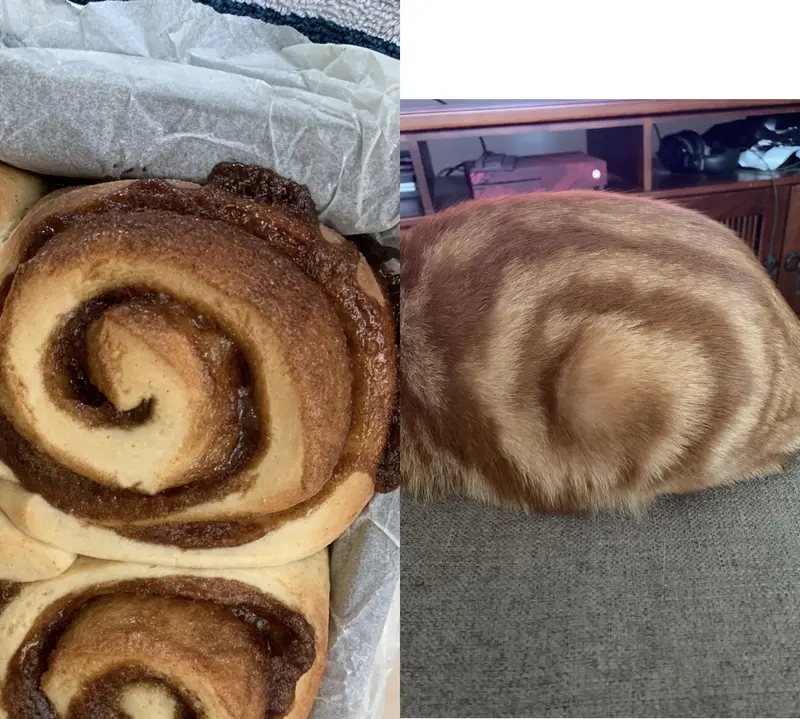 Do You Want to Have a Fluffy Cinnamon Bun?