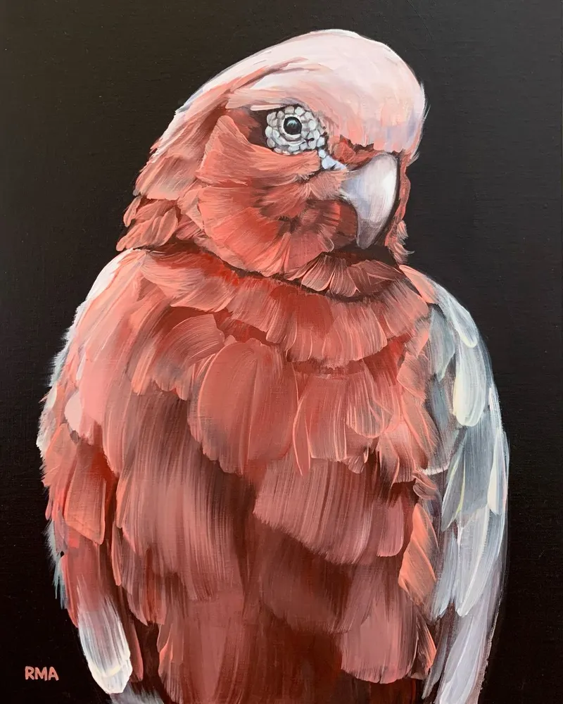 Ornithological oil renditions